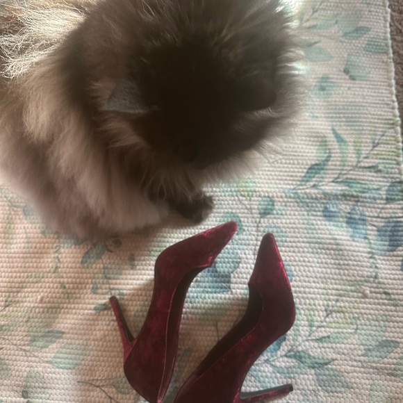 Just in time for CHRISTMAS PARTIES! - Picture 4 of 4